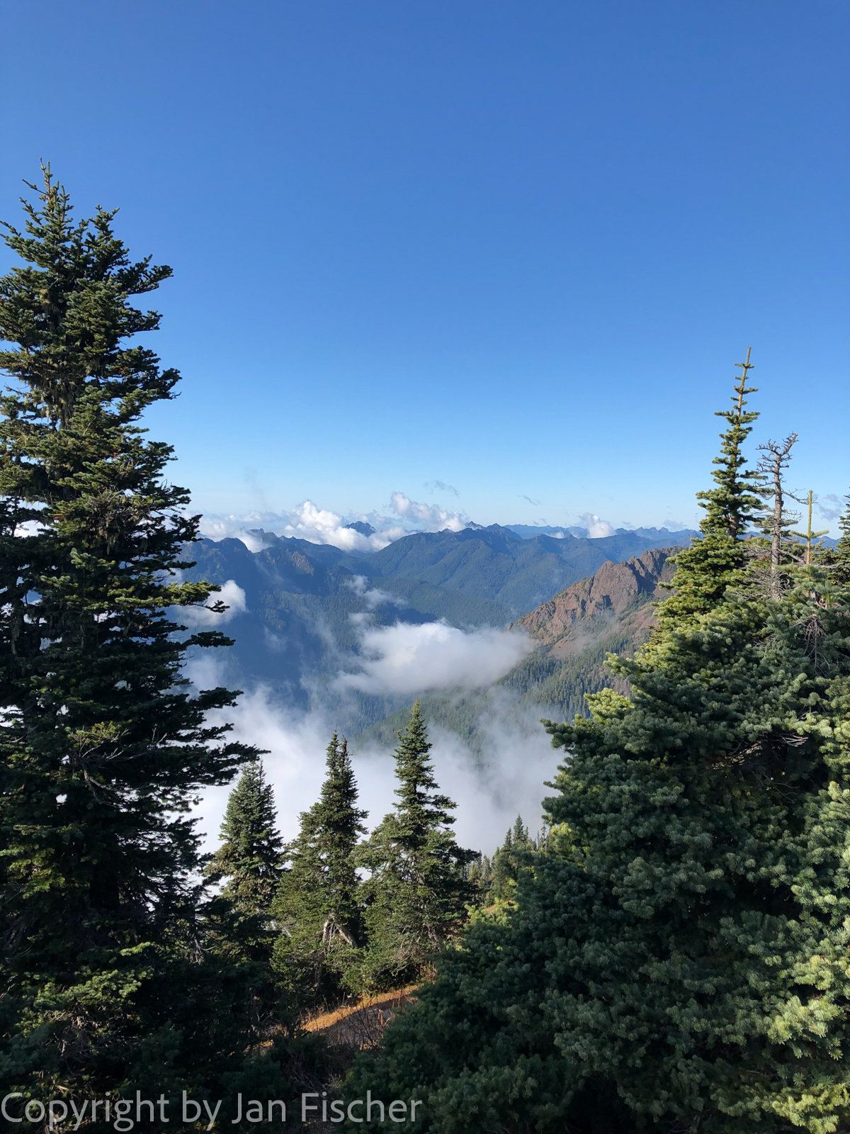 IMG 0478